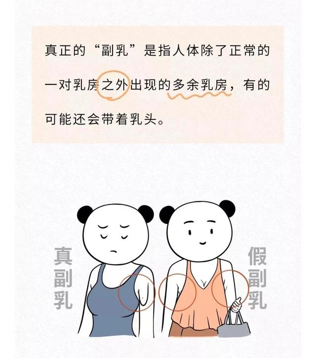 关于女生胸部的几个冷知识，你都知道吗？