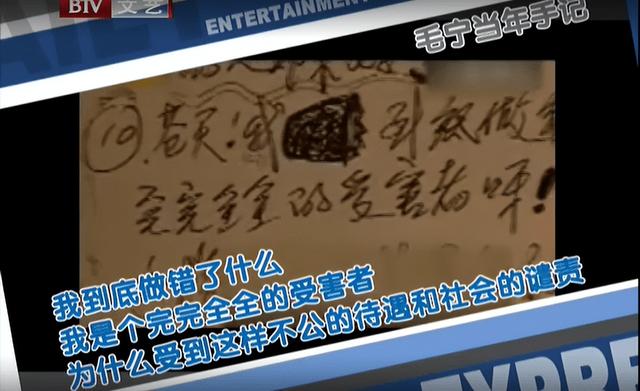 从“全民偶像”到“落魄歌手”，毛宁为何会走到了这步田地？