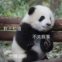 和女生日常闲聊话题 再也不用怕不知道聊什么了