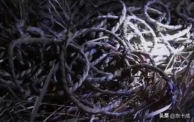 男子经不住黄色录像带的诱惑在大学校园相继强暴两名女生