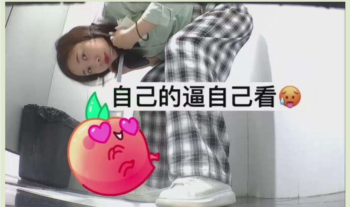 商场女厕全景偷拍格子裤美女的小嫩B❤️难道是被她发现了