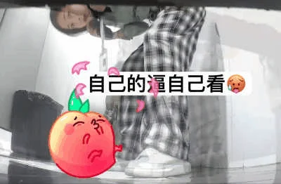商场女厕全景偷拍格子裤美女的小嫩B❤️难道是被她发现了